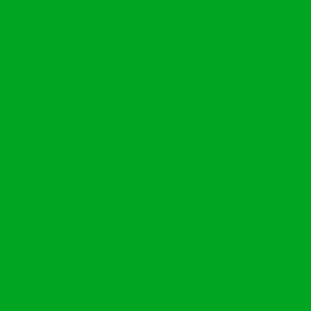 Araç Kaplama Folyosu Oracal 970 Glossy (Parlak) 602 Grass Green - 1