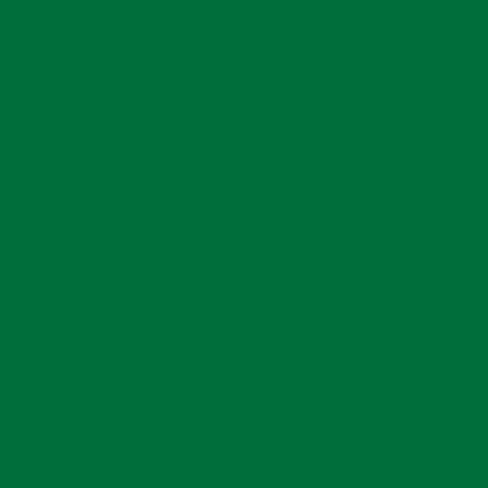 Araç Kaplama Folyosu Oracal 970 Glossy (Parlak) 612 Police Green - 1