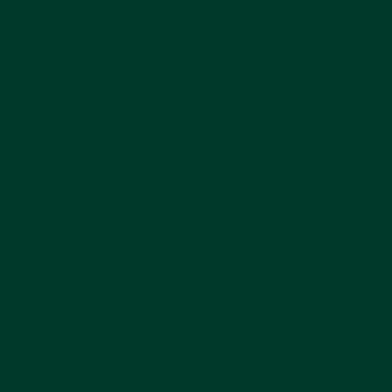 Araç Kaplama Folyosu Oracal 970 Glossy (Parlak) 622 Fir Tree Green