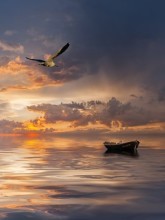 Deniz - duvar posteri deniz 113805205