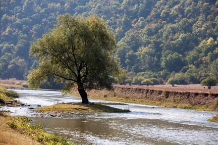 duvar posteri doğa n399