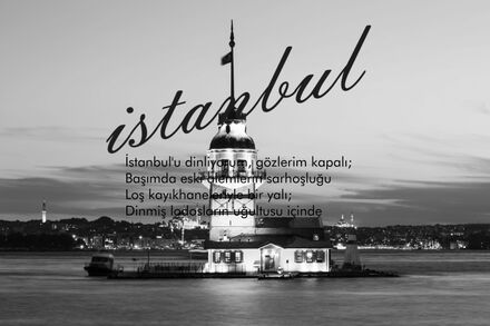 duvar posteri istanbul N136