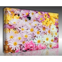 Kanvas Tablo Çiçek - Kanvas Tablo 00229