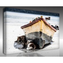 Kanvas Tablo Fotoğraf - Kanvas Tablo 00496