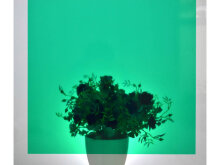 Yapışkanlı Folyo D-C-Fix 200-1965 Transparent Uni Grün - D-C-Fix Cam Vitray Yapışkanlı